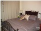 49 Westbourne Ave, Wentworth Falls NSW 2782