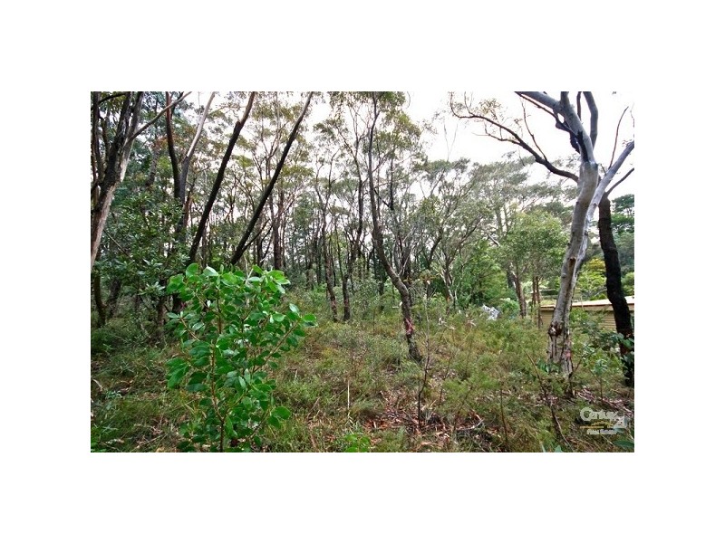 31 Lee St, Lawson NSW 2783