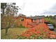 61 Shortland Street, Wentworth Falls NSW 2782