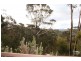 31 View Road, Wentworth Falls NSW 2782