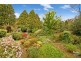 54 Yanko Ave, Wentworth Falls NSW 2782