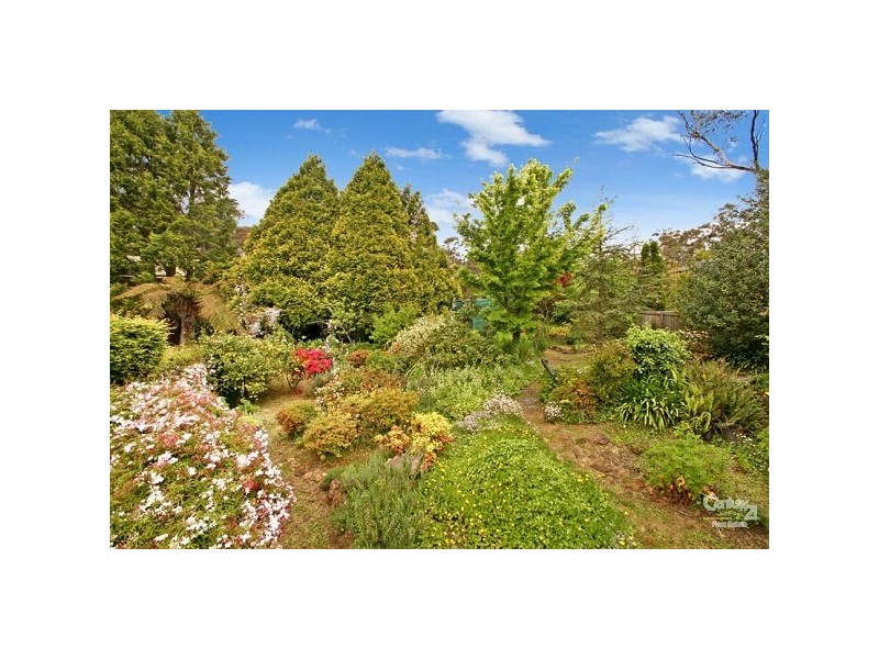 54 Yanko Ave, Wentworth Falls NSW 2782