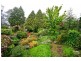 54 Yanko Ave, Wentworth Falls NSW 2782
