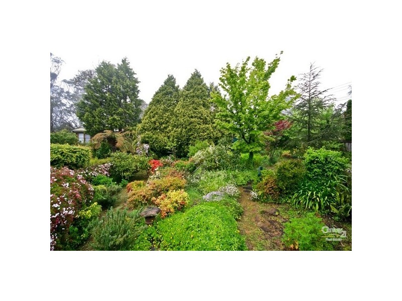 54 Yanko Ave, Wentworth Falls NSW 2782