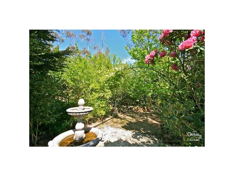 9 Queen Elizabeth Drive, Wentworth Falls NSW 2782