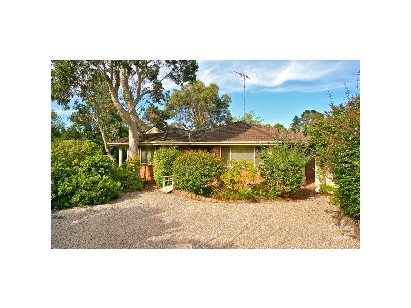 19 Pauline Ave, Wentworth Falls NSW 2782