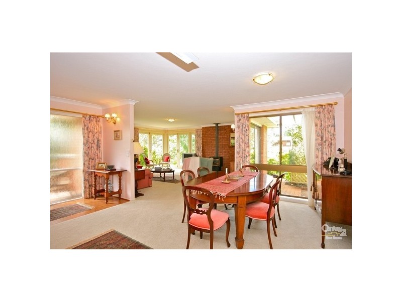 19 Pauline Ave, Wentworth Falls NSW 2782