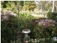 19 Pauline Ave, Wentworth Falls NSW 2782