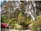 19 Pauline Ave, Wentworth Falls NSW 2782
