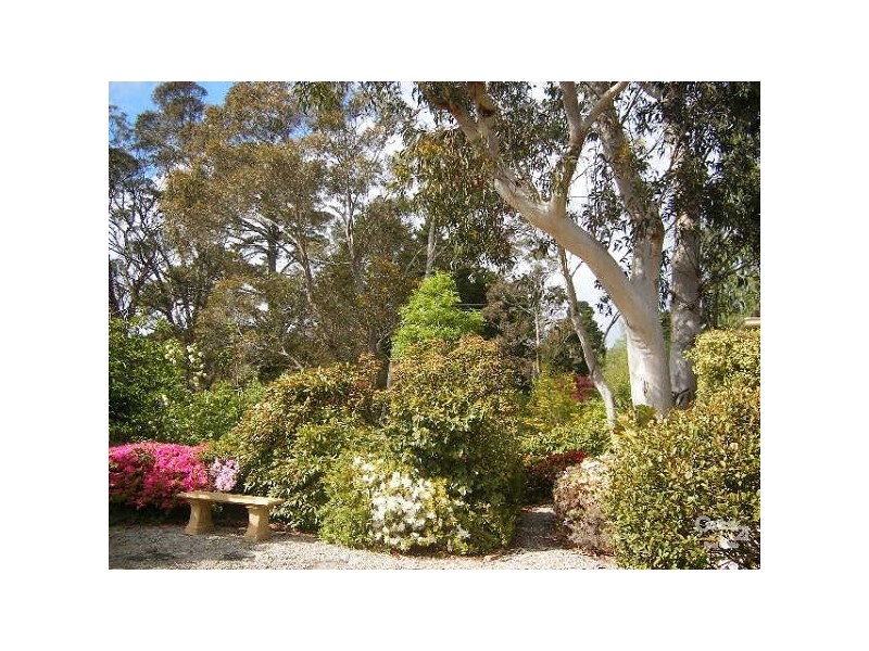 19 Pauline Ave, Wentworth Falls NSW 2782