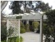 19 Pauline Ave, Wentworth Falls NSW 2782