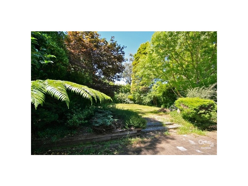 47 Cedar Street, Katoomba NSW 2780