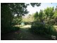 29 Armstrong St, Wentworth Falls NSW 2782
