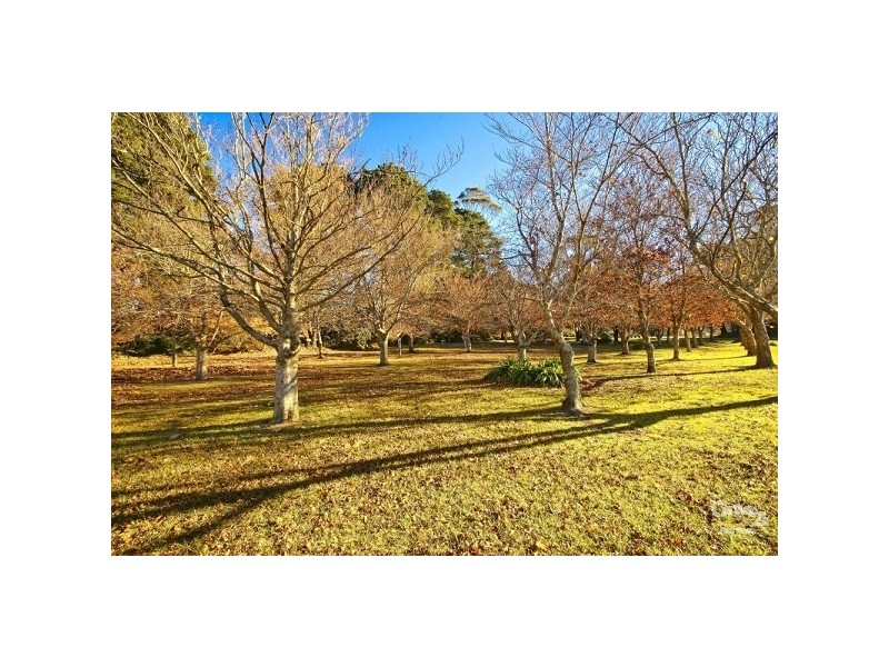 5 Myoori Avenue, Wentworth Falls NSW 2782