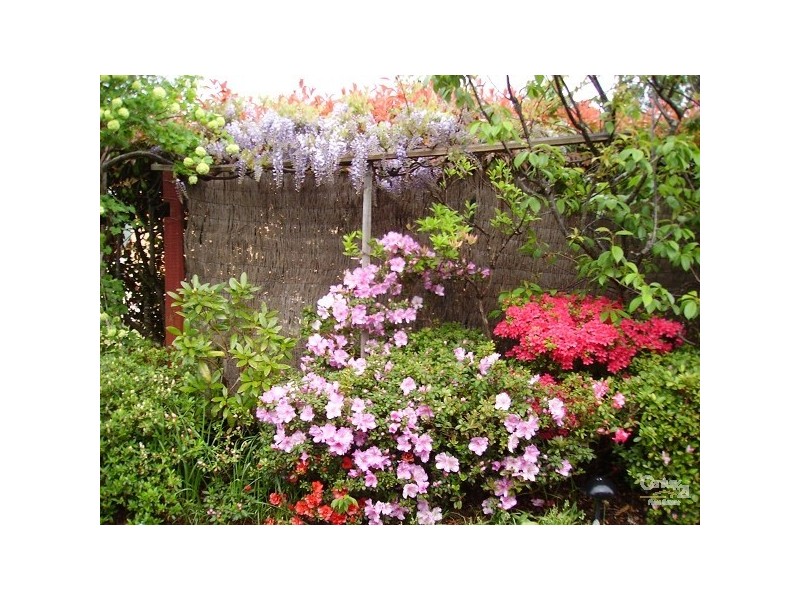 189 Blaxland Rd, Wentworth Falls NSW 2782