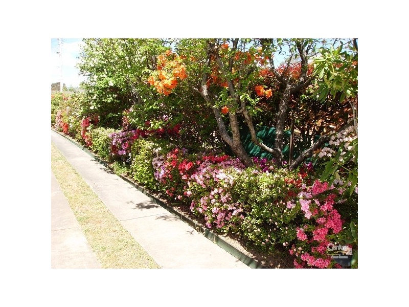 189 Blaxland Rd, Wentworth Falls NSW 2782