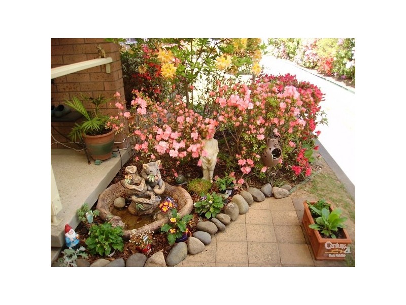 189 Blaxland Rd, Wentworth Falls NSW 2782