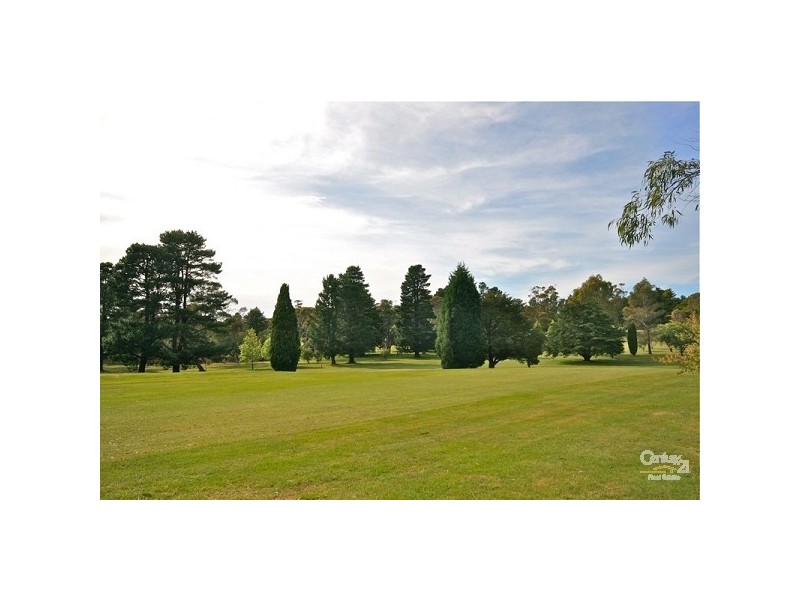 19 Pauline Avenue, Wentworth Falls NSW 2782