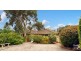 19 Pauline Avenue, Wentworth Falls NSW 2782