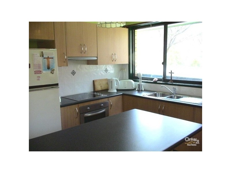 17 Hill Street, Wentworth Falls NSW 2782