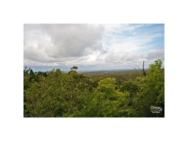 102 Tableland Road, Wentworth Falls NSW 2782