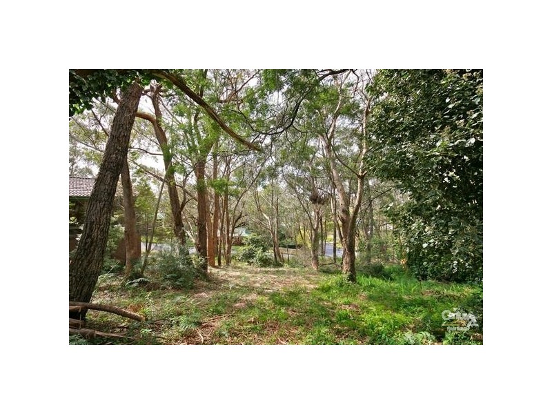 29 Edward Pde, Wentworth Falls NSW 2782