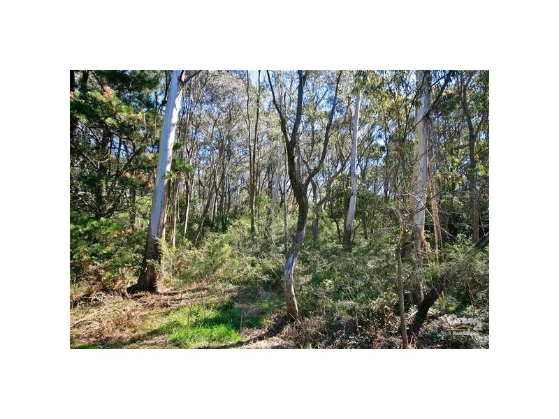 28 Kings Rd, Leura NSW 2780