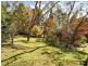 14 Tarella Rd, Wentworth Falls NSW 2782