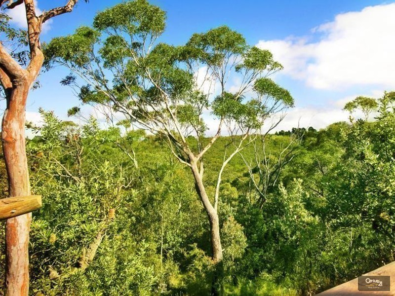 3 Lees Avenue, Wentworth Falls NSW 2782