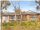 14 Shortland St, Wentworth Falls NSW 2782