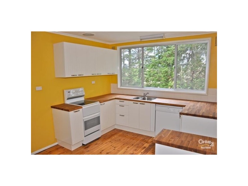 12 Nelson Ave, Wentworth Falls NSW 2782