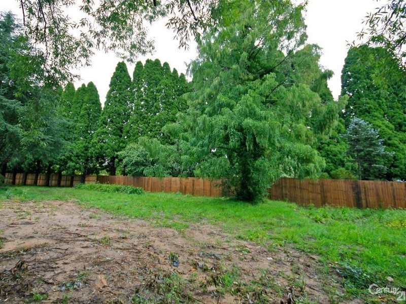 Wentworth Falls NSW 2782