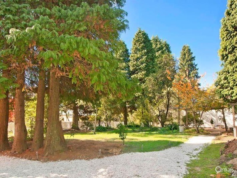 29  Westbourne Ave, Wentworth Falls NSW 2782