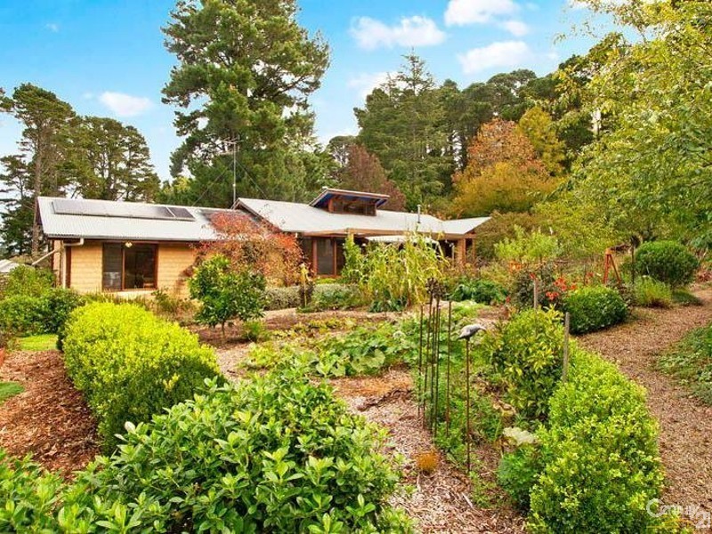 38 Jamieson Street, Wentworth Falls NSW 2782
