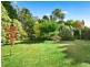6 Yanko Ave, Wentworth Falls NSW 2782