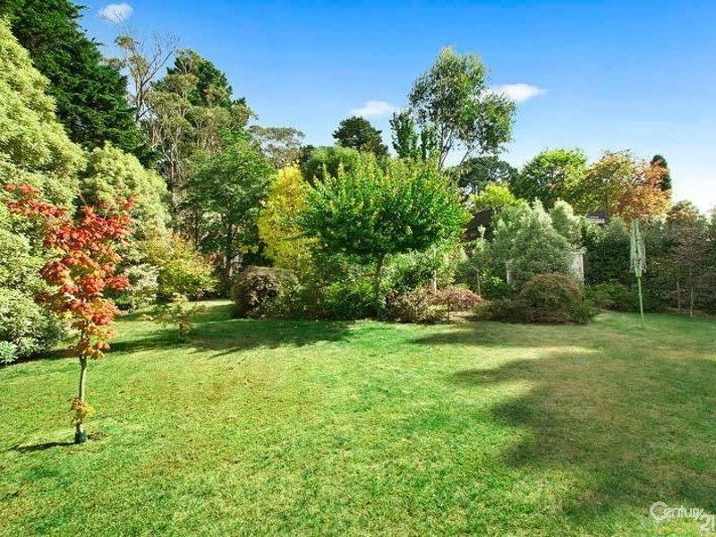 6 Yanko Ave, Wentworth Falls NSW 2782