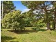 92 Tableland Rd, Wentworth Falls NSW 2782