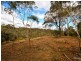 21 Sandbox Rd, Wentworth Falls NSW 2782