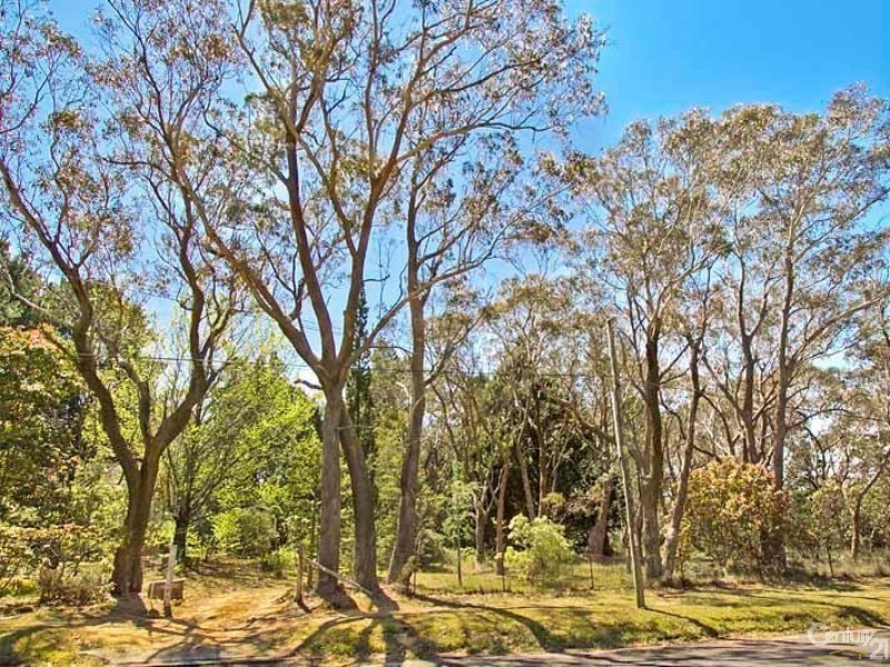 109-111 Waratah Road, Wentworth Falls NSW 2782