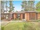 244 Great Western Highway, Wentworth Falls NSW 2782