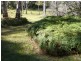 79 Rawson Pde, Leura NSW 2780