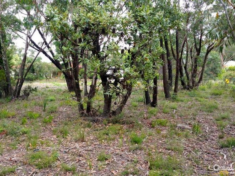 22 Queen Elizabeth Dr, Wentworth Falls NSW 2782