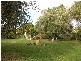 75 Bultje Street, Dubbo NSW 2830