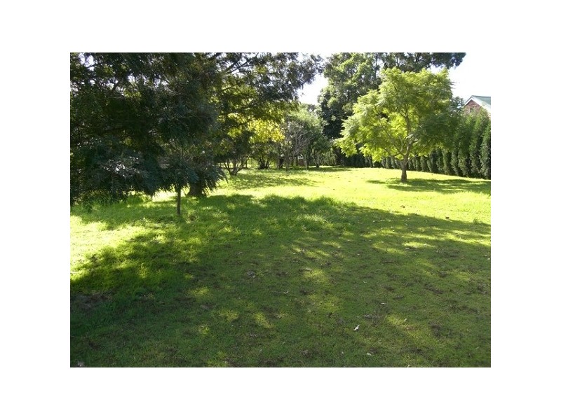 259 Morpeth Road, Raworth NSW 2321