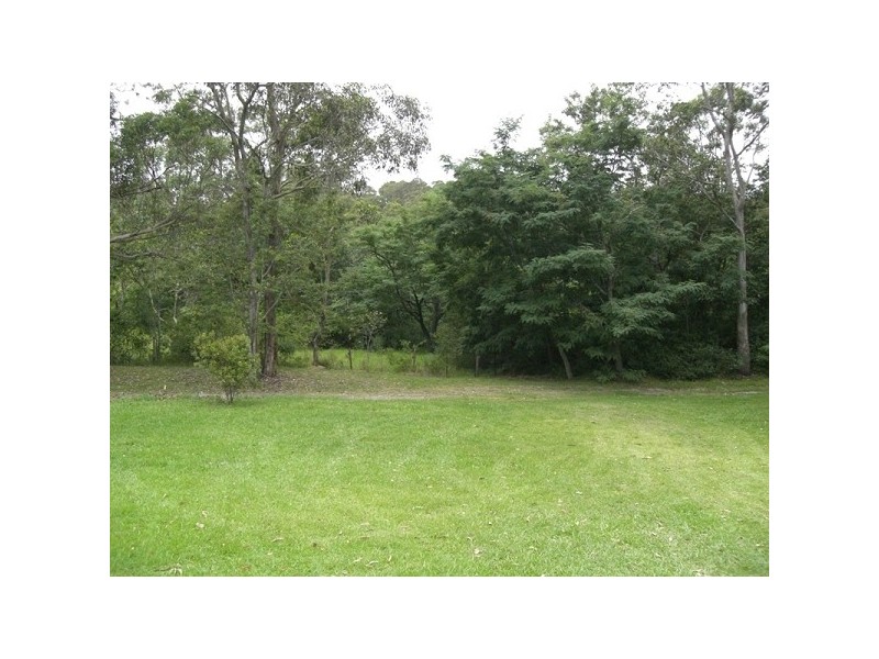 45 McInnes Street, Minmi NSW 2287