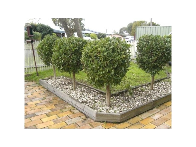 13 Lutana Street, Edgeworth NSW 2285