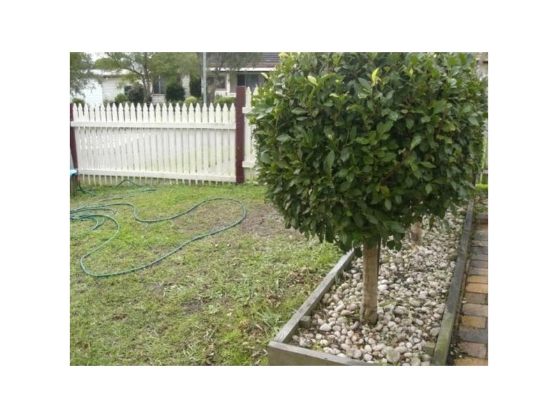 13 Lutana Street, Edgeworth NSW 2285