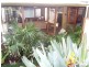 78 Graham St, Glendale NSW 2285