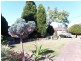39 Macquarie Street, Barnsley NSW 2278