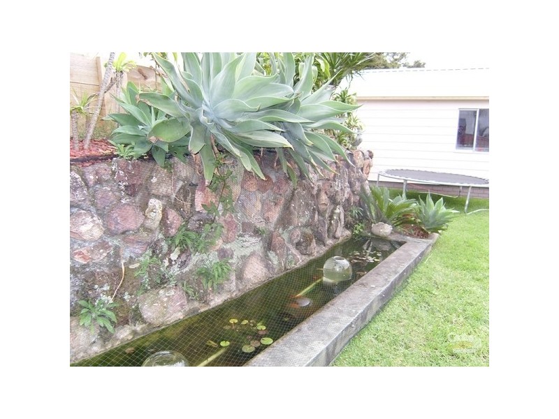 117 Neilson Street, Edgeworth NSW 2285